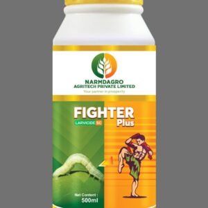 WhatsApp Image 2025-02-25 at 12.24.40 PM