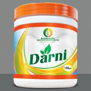 WhatsApp Image 2025-02-25 at 12.24.41 PM (1)