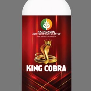 WhatsApp Image 2025-02-25 at 12.24.41 PM