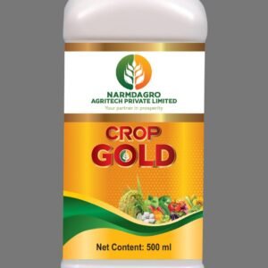 WhatsApp Image 2025-02-25 at 12.24.42 PM